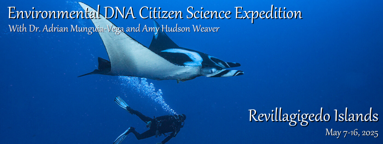 MARINE BIODIVERSITY, FISH SURVEYS AND ENVIRONMENTAL DNA with Dr. Adrian Munguia-Vega and Amy Hudson Weaver