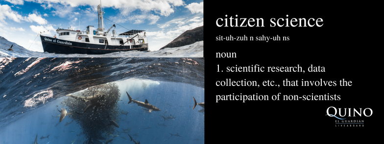 Citizen Science - Dive with a purpose!
