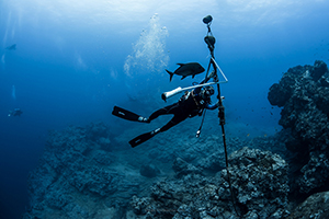 Citizen Science - Dive with a Purpose!