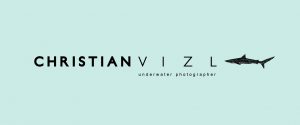 Christian Vizl Website
