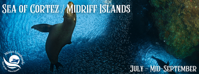 Sea of Cortez - Midriff Islands