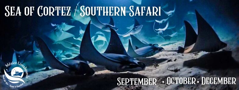 Sea of Cortez - Southern Safari