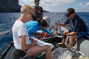 Citizen Science Shark Expeditions