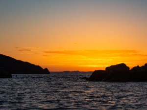 Diving the Midriff Islands