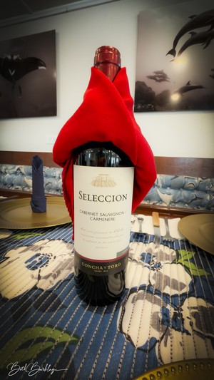 Quino del Mar updated images March 2026