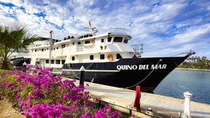 Quino del Mar updated images March 2026