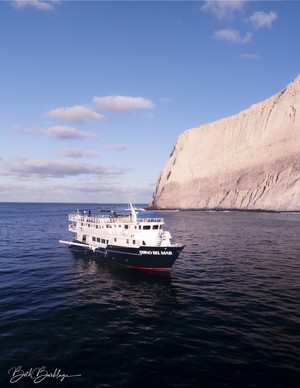 Quino del Mar updated images March 2026