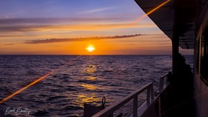 Quino del Mar updated images March 2026