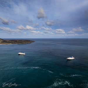 Quino del Mar updated images March 2026