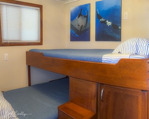 Quino del Mar updated images March 2026