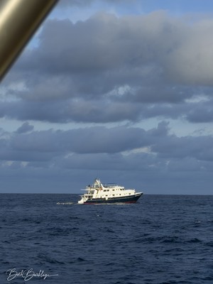 Rocio del Mar updated images March 2026