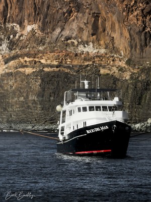 Rocio del Mar updated images March 2026