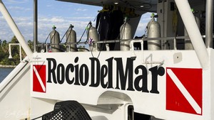 Rocio del Mar updated images March 2026