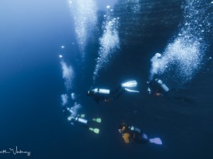 Diving the Socorro Islands with Beth Watson