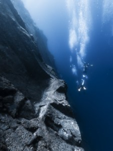 Diving the Socorro Islands with Beth Watson