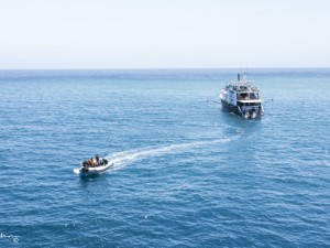 Diving the Socorro Islands with Beth Watson