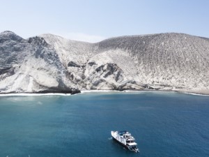 Diving the Socorro Islands with Beth Watson