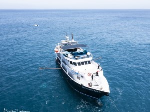 Diving the Socorro Islands with Beth Watson