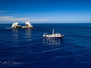 Diving the Socorro Islands with Beth Watson