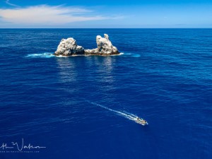 Diving the Socorro Islands with Beth Watson