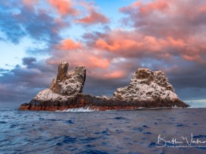 Diving the Socorro Islands with Beth Watson