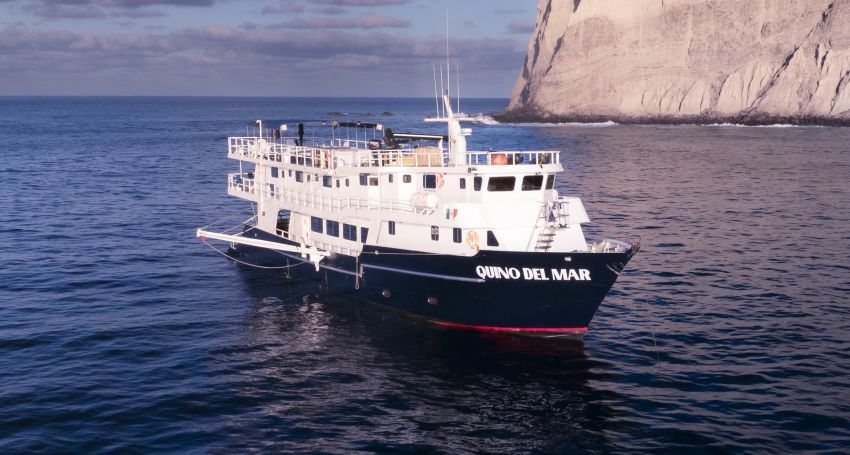 Quino Del Mar