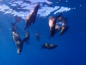 Wendy Simon Testamonial