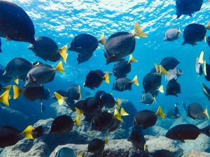 Wendy Simon Testamonial